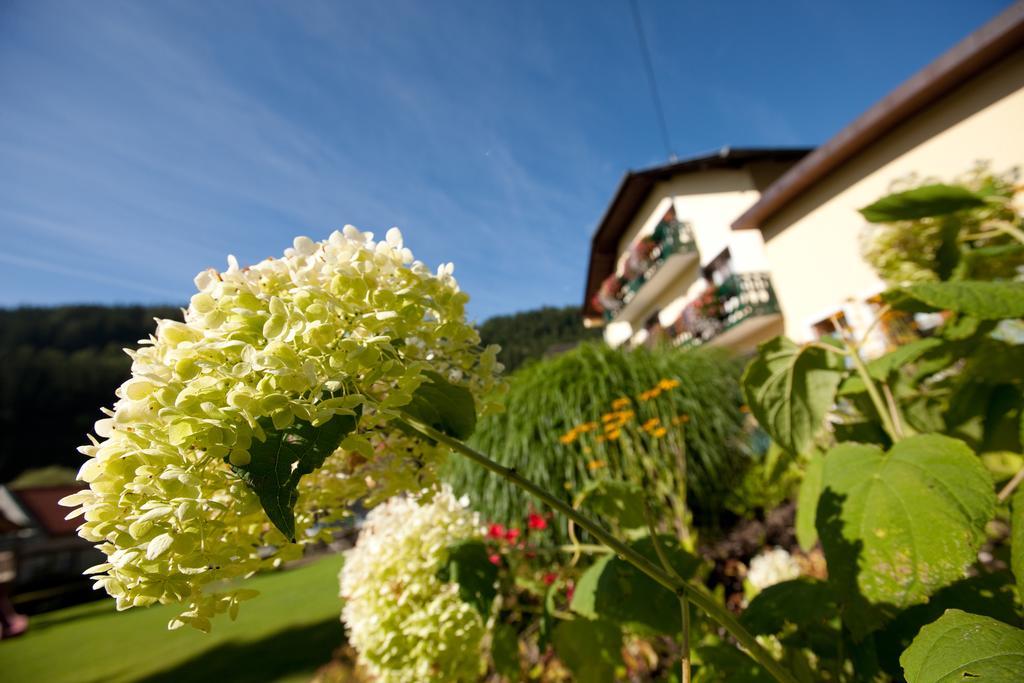 Hotel Moenichwalderhof Monichwald ภายนอก รูปภาพ